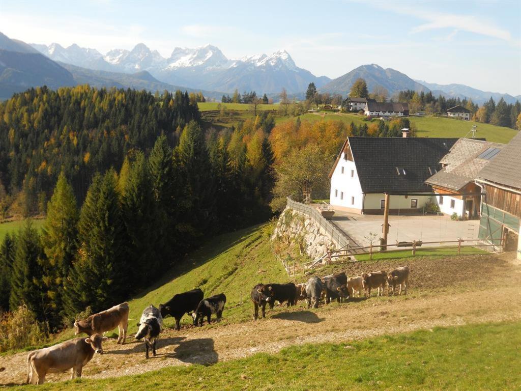 Familienbauernhof Imitz, Ferienwohnung Spital Am Pyhrn Exterior foto